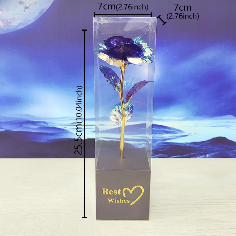 S3e508f41c5364f5f844949dc5fd82a79H