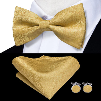 Elegant Men's Formal Silk Vest & Accessories By Hi-Tie | Waistcoat Set with Tie, Bowtie, Hanky, Cufflinks for Business, Office, Party, Wedding - Ideal Gift for Him